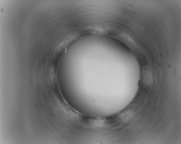 X0000065250318200602242056