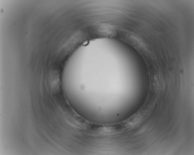 X0000065250320200602242056