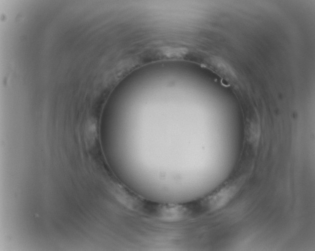 X0000065250321200602242056