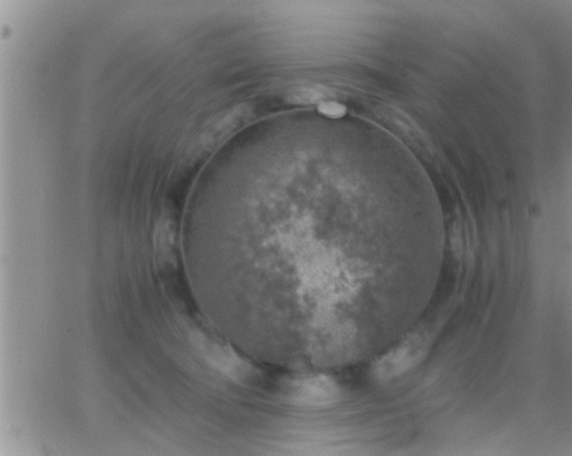 X0000065250322200602242056