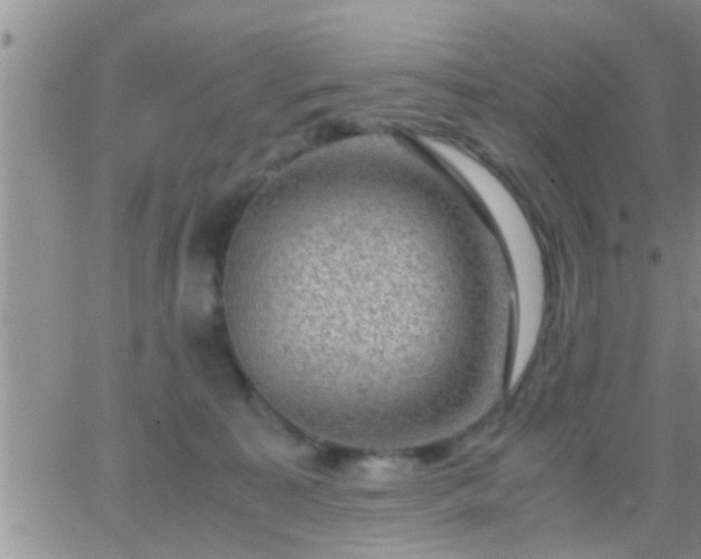 X0000065250323200602242056