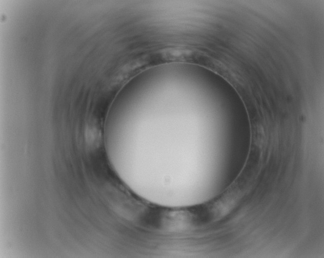 X0000065250324200602242056