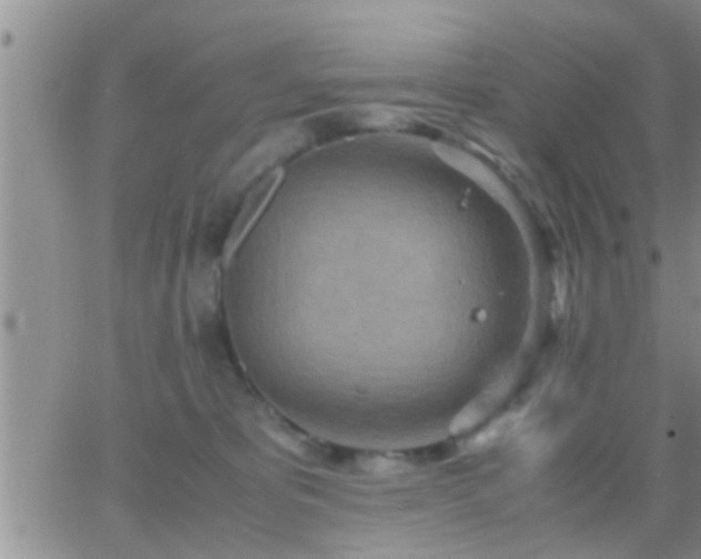 X0000065250325200602242056