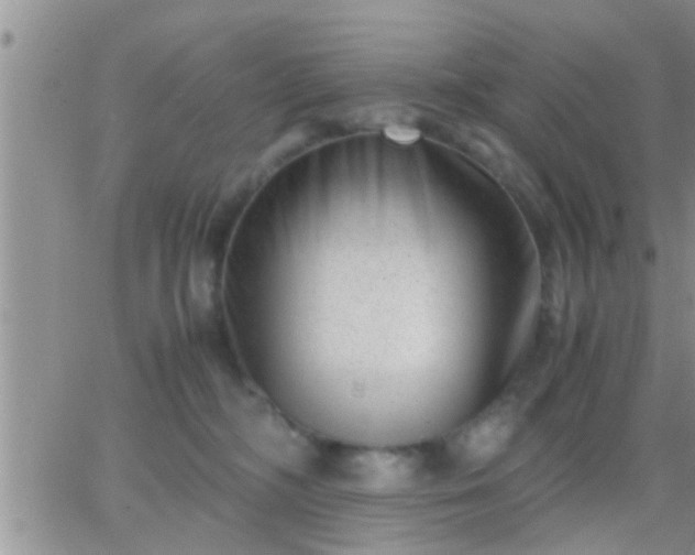 X0000065250326200602242056