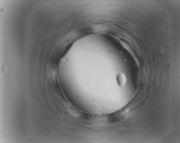 X0000065250329200602242056