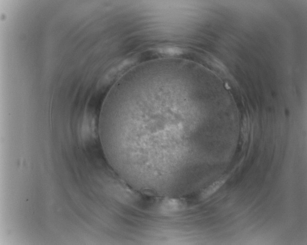 X0000065250330200602242056