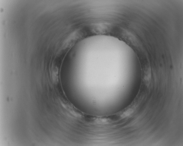 X0000065250332200602242056