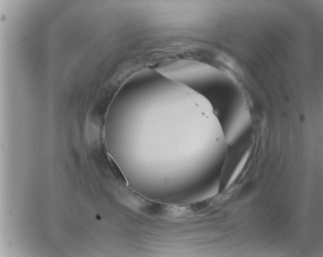 X0000065250333200602242056