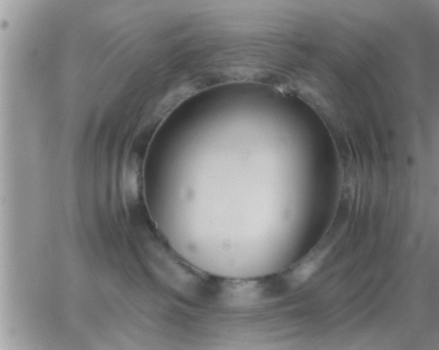 X0000065250334200602242056