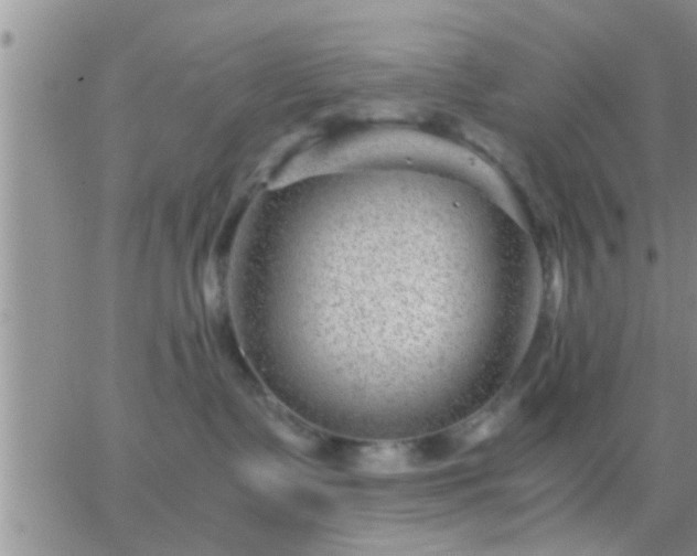 X0000065250335200602242056