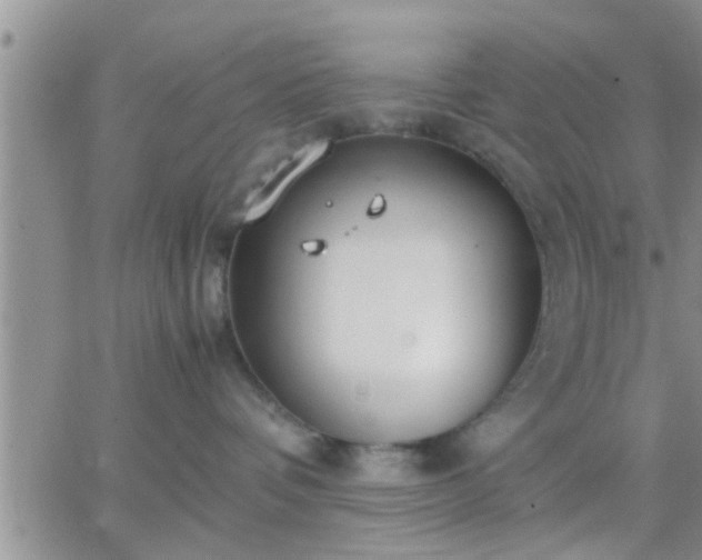 X0000065250336200602242056