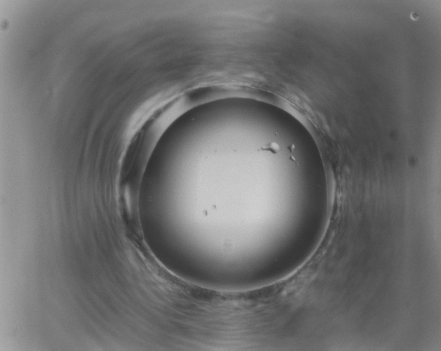 X0000065250340200602242055