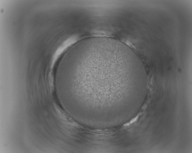 X0000065250343200602242055