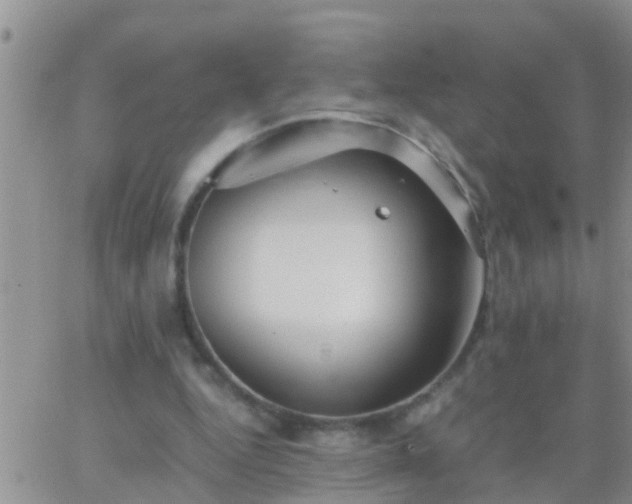 X0000065250344200602242055