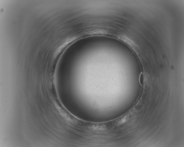 X0000065250345200602242055