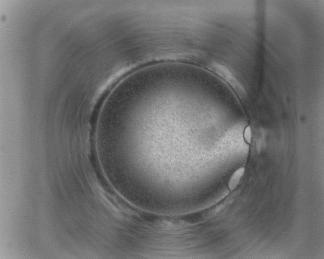 X0000065250346200602242055