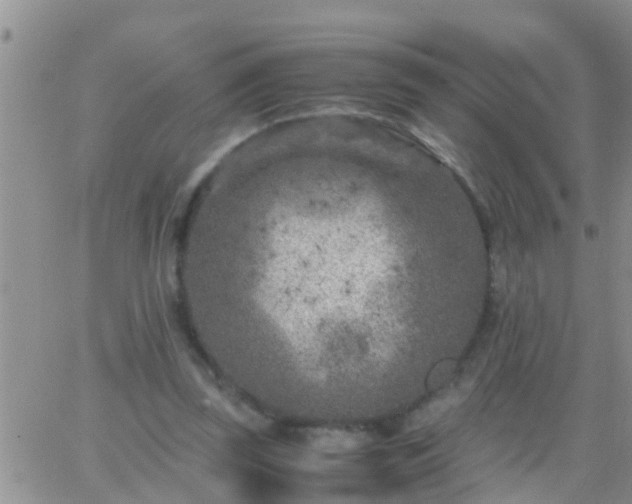 X0000065250347200602242055