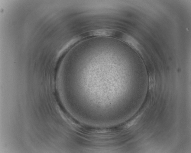 X0000065250349200602242055