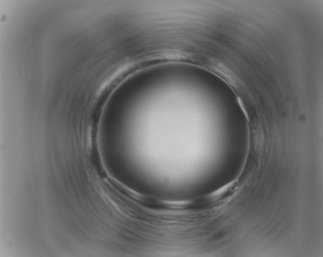 X0000065250350200602242055