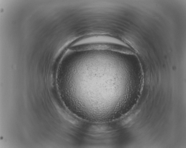 X0000065250351200602242055