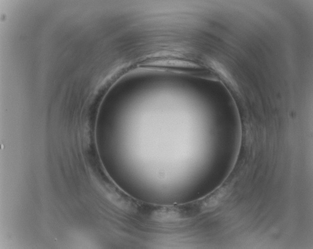 X0000065250354200602242055