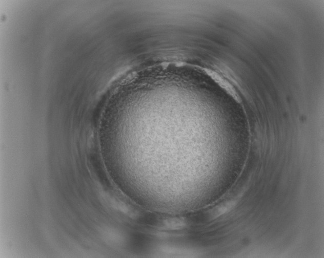 X0000065250355200602242055