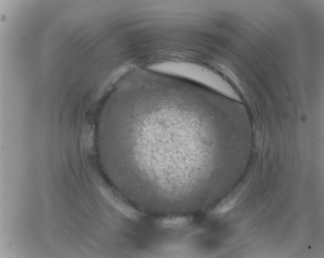 X0000065250357200602242055