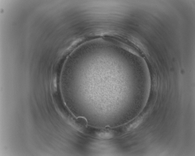 X0000065250358200602242055