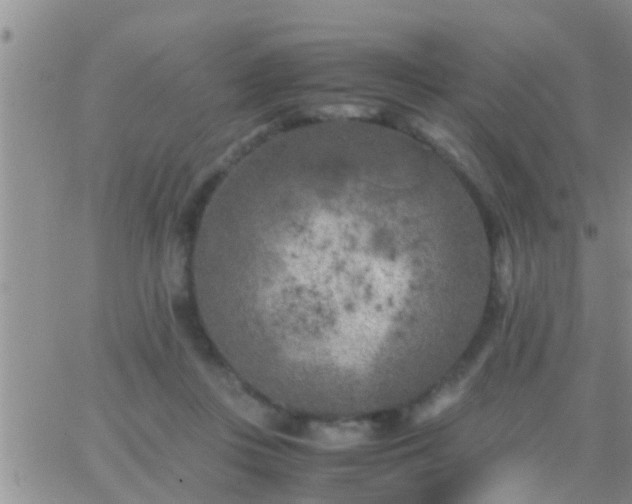 X0000065250359200602242055