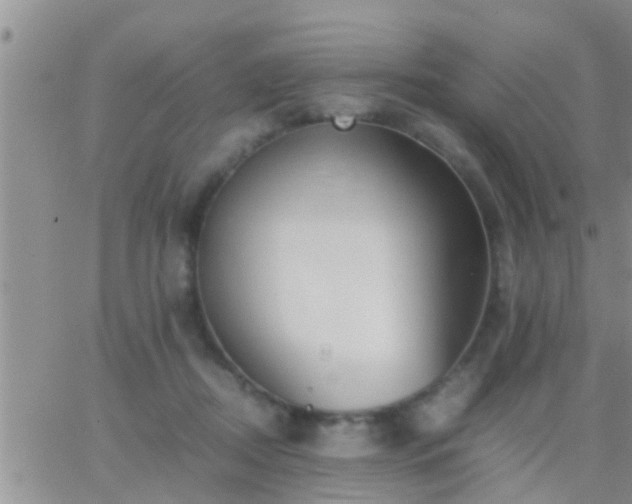 X0000065250362200602242055