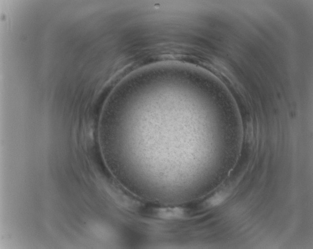 X0000065250363200602242055