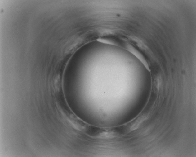 X0000065250364200602242055