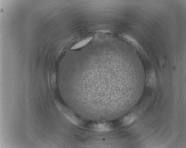 X0000065250365200602242055