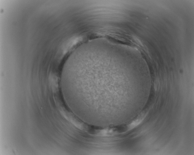 X0000065250366200602242055