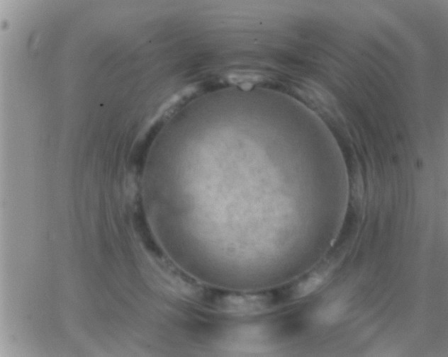 X0000065250367200602242055