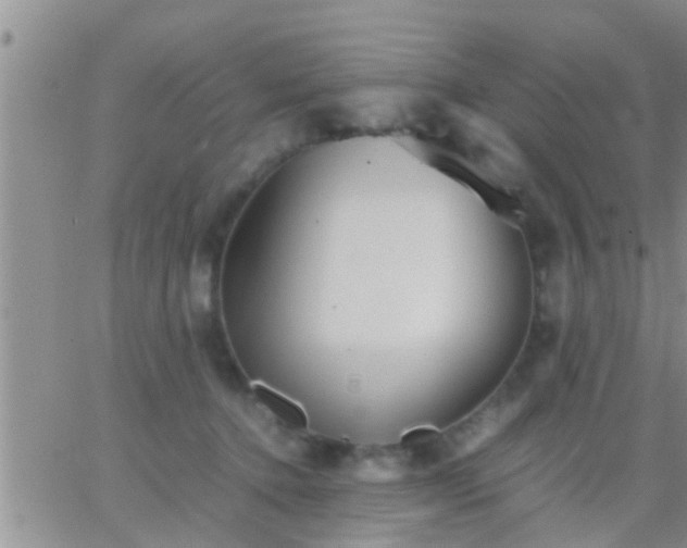 X0000065250368200602242055