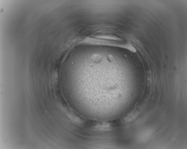 X0000065250369200602242055