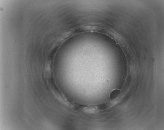 X0000065250373200602242056