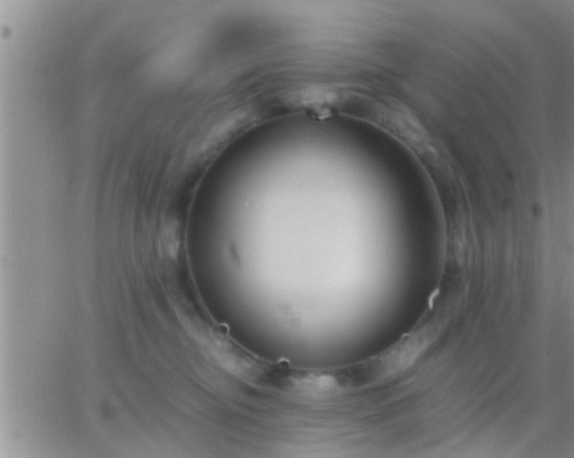 X0000065250374200602242056