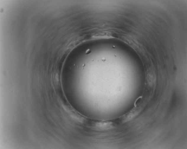 X0000065250375200602242056