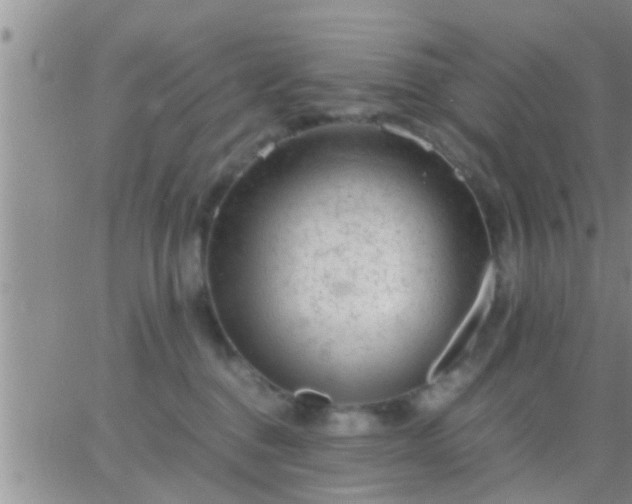 X0000065250376200602242056