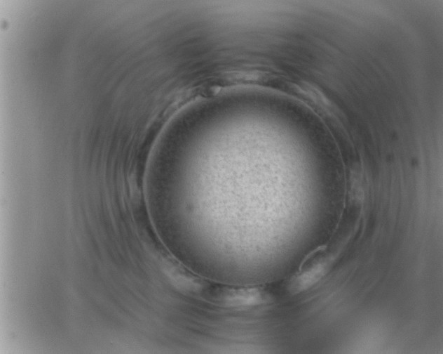 X0000065250377200602242056