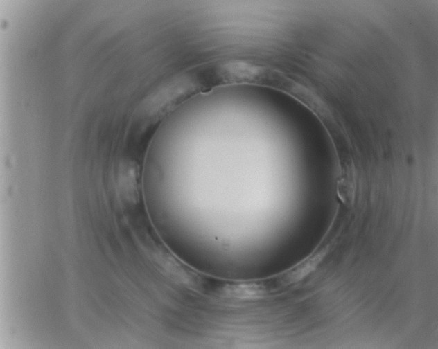 X0000065250378200602242056