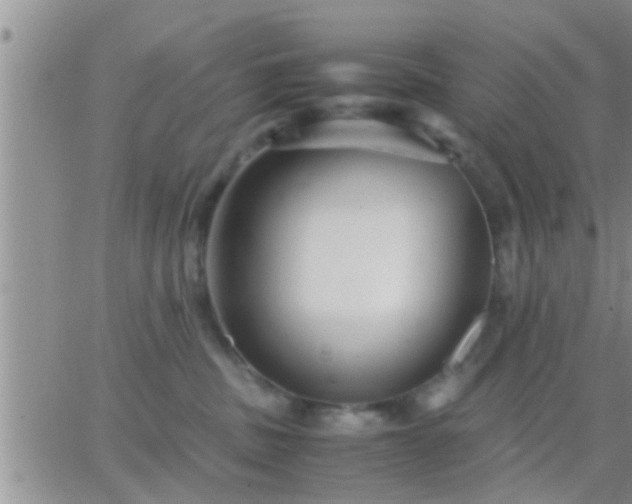 X0000065250379200602242056