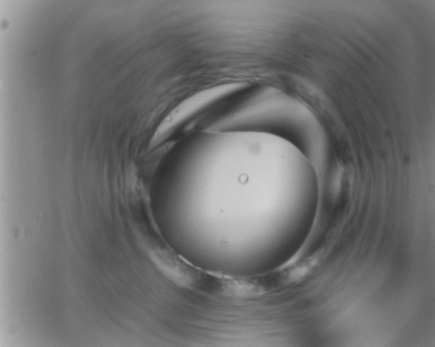 X0000065250380200602242056