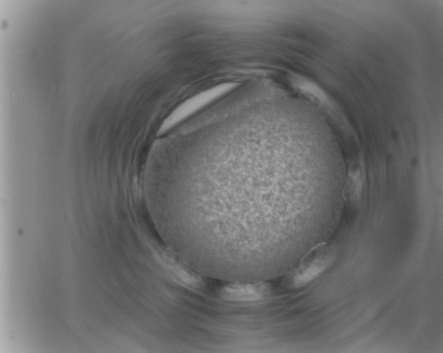 X0000065250381200602242056