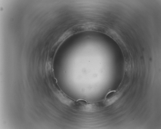 X0000065250382200602242056