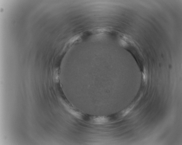 X0000065250383200602242056