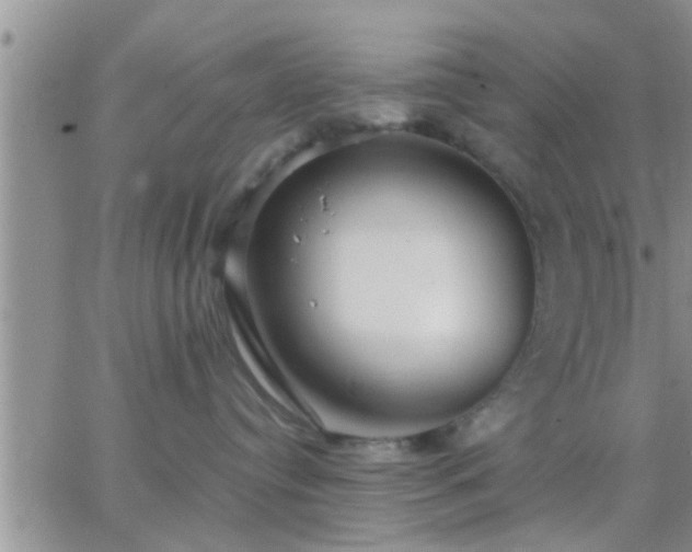 X0000065250384200602242056