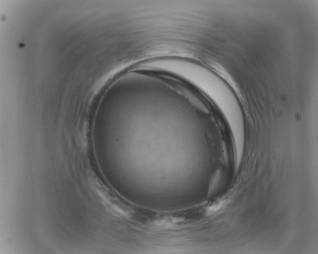 X0000065250387200602242055